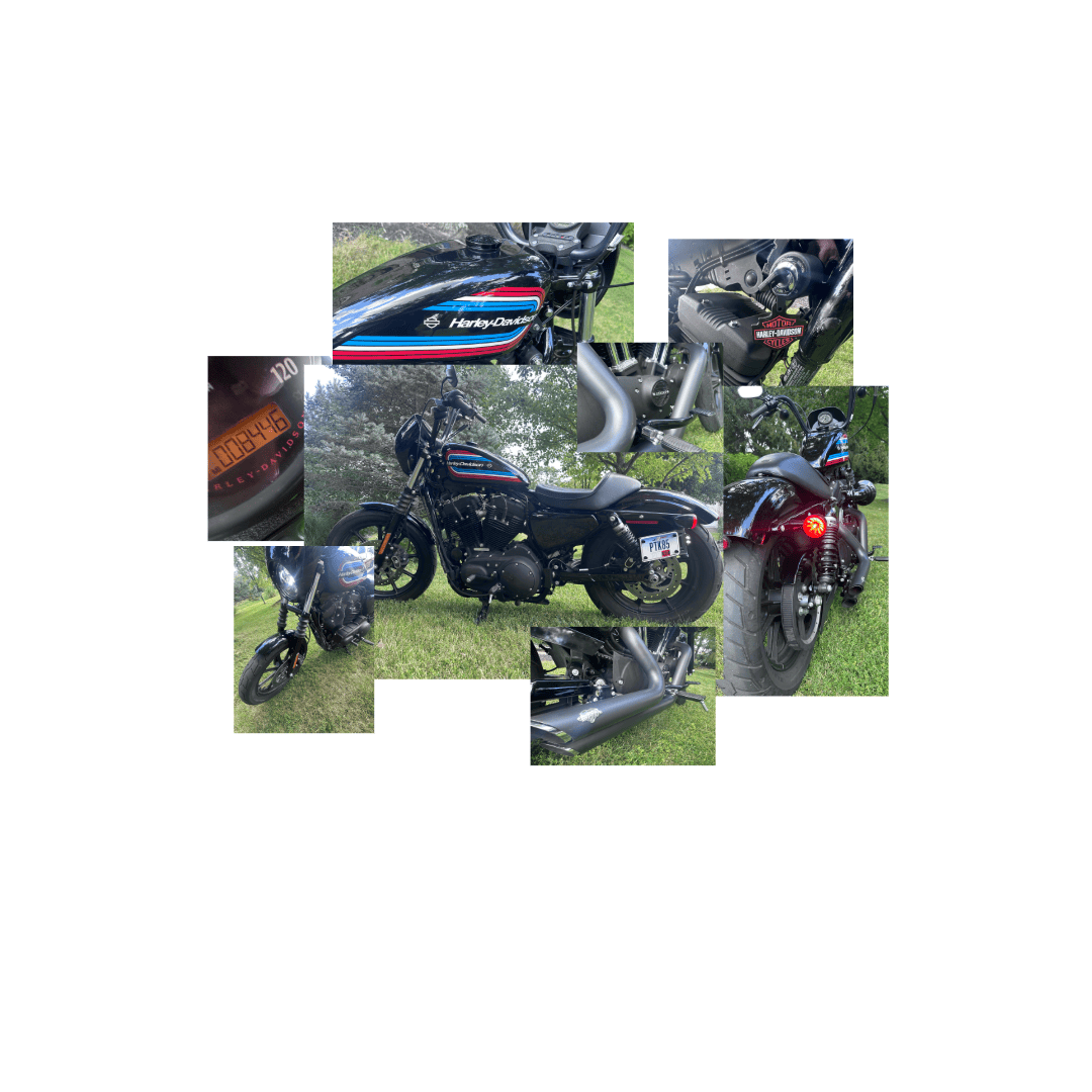 H-D Sportster 1200 Fundraiser Raffle